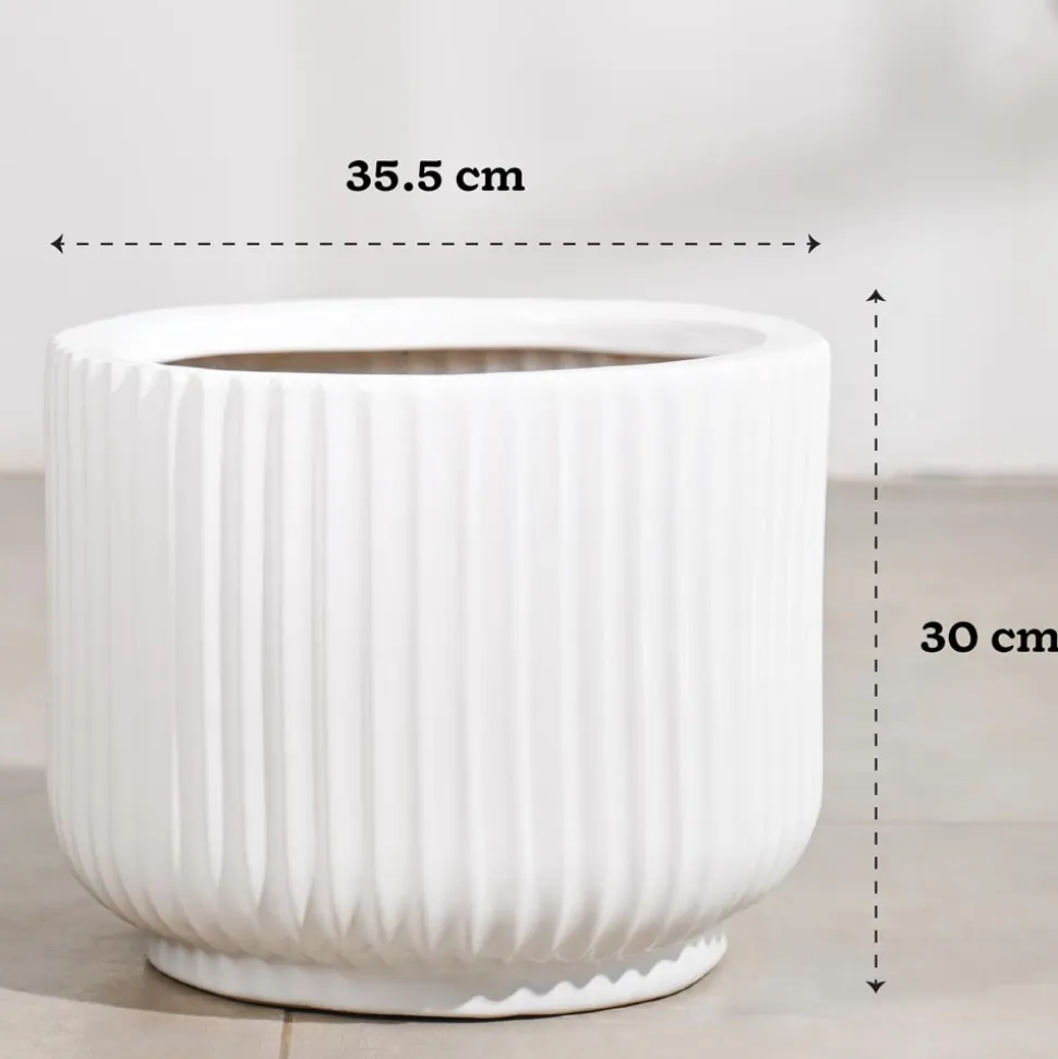 Phoenix Ceramic Pot (12.5 Inch Diameter)