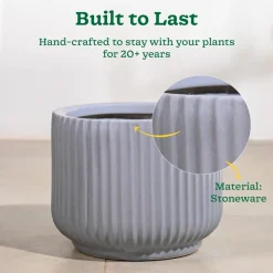 Phoenix Ceramic Pot (12.5 Inch Diameter)