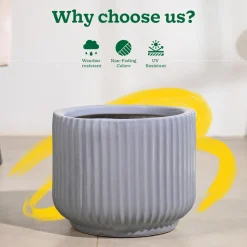 Phoenix Ceramic Pot (12.5 Inch Diameter)