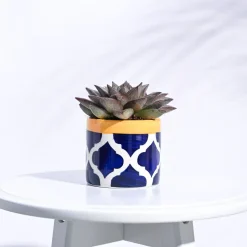Pipe Ceramic Pot (3.8 Inch Diameter)