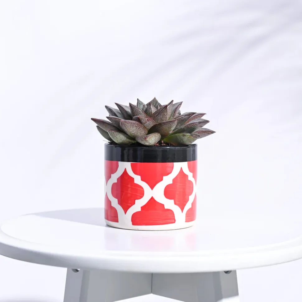 Pipe Ceramic Pot (3.8 Inch Diameter)