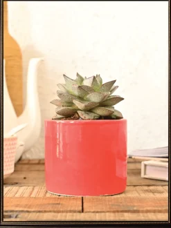 Pipe Ceramic Pot (3.8 Inch Diameter)