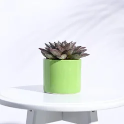 Pipe Ceramic Pot (3.8 Inch Diameter)
