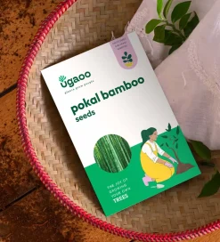 Pokal Bamboo Seeds - 100 g
