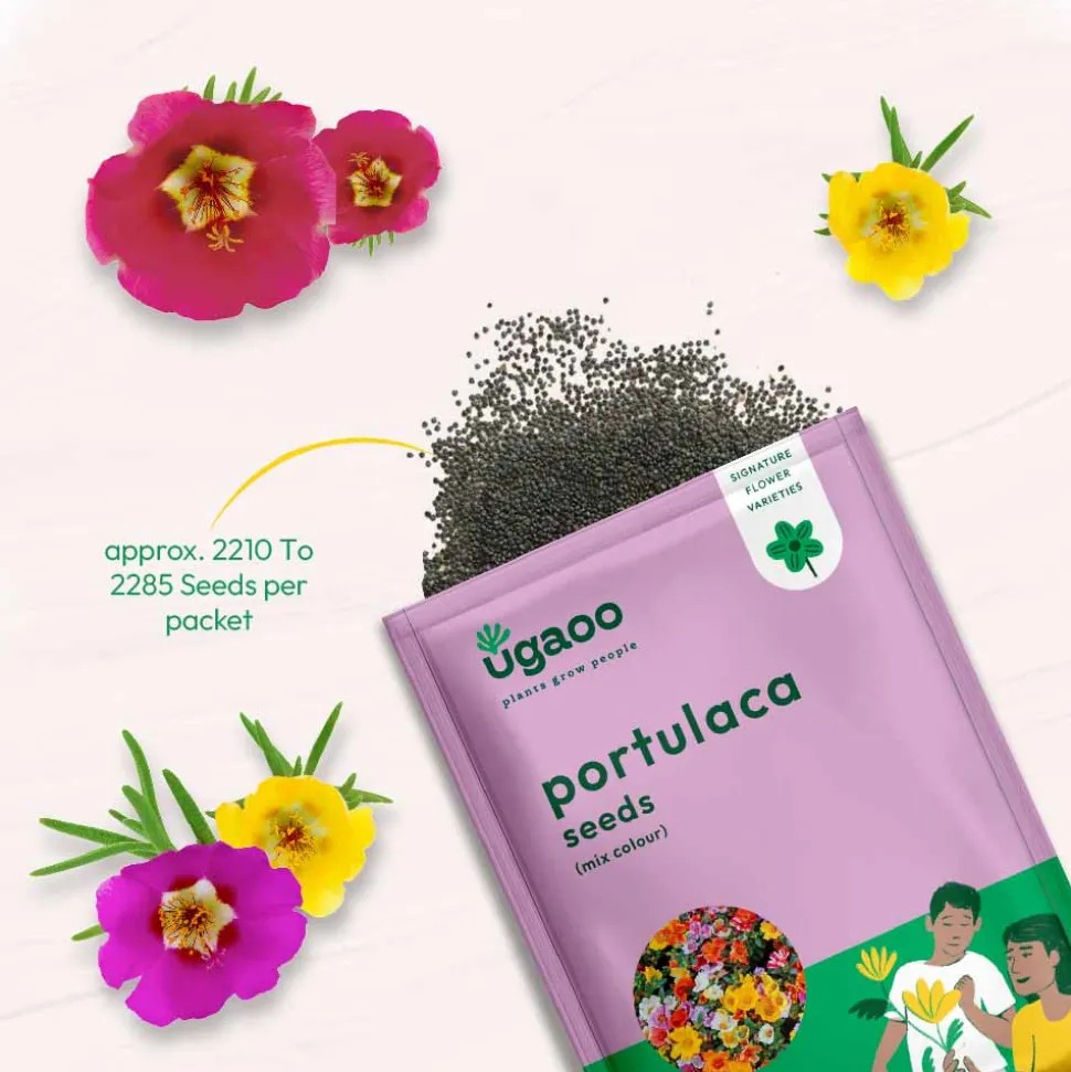 Portulaca Mix Seeds