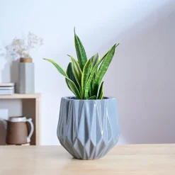 Precious Horcrux Ceramic Pot