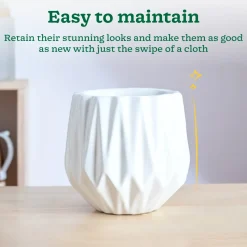 Precious Horcrux Ceramic Pot