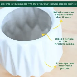 Precious Horcrux Ceramic Pot