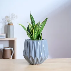 Precious Horcrux Ceramic Pot