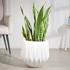 Precious Horcrux Ceramic Pot