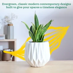 Precious Horcrux Ceramic Pot