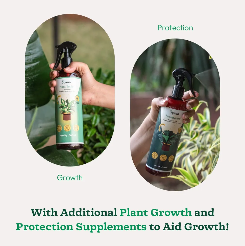 Premium Gardening Kit