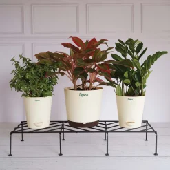 Premium Plants Stand