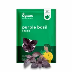 Purple Basil Seeds