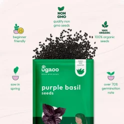 Purple Basil Seeds