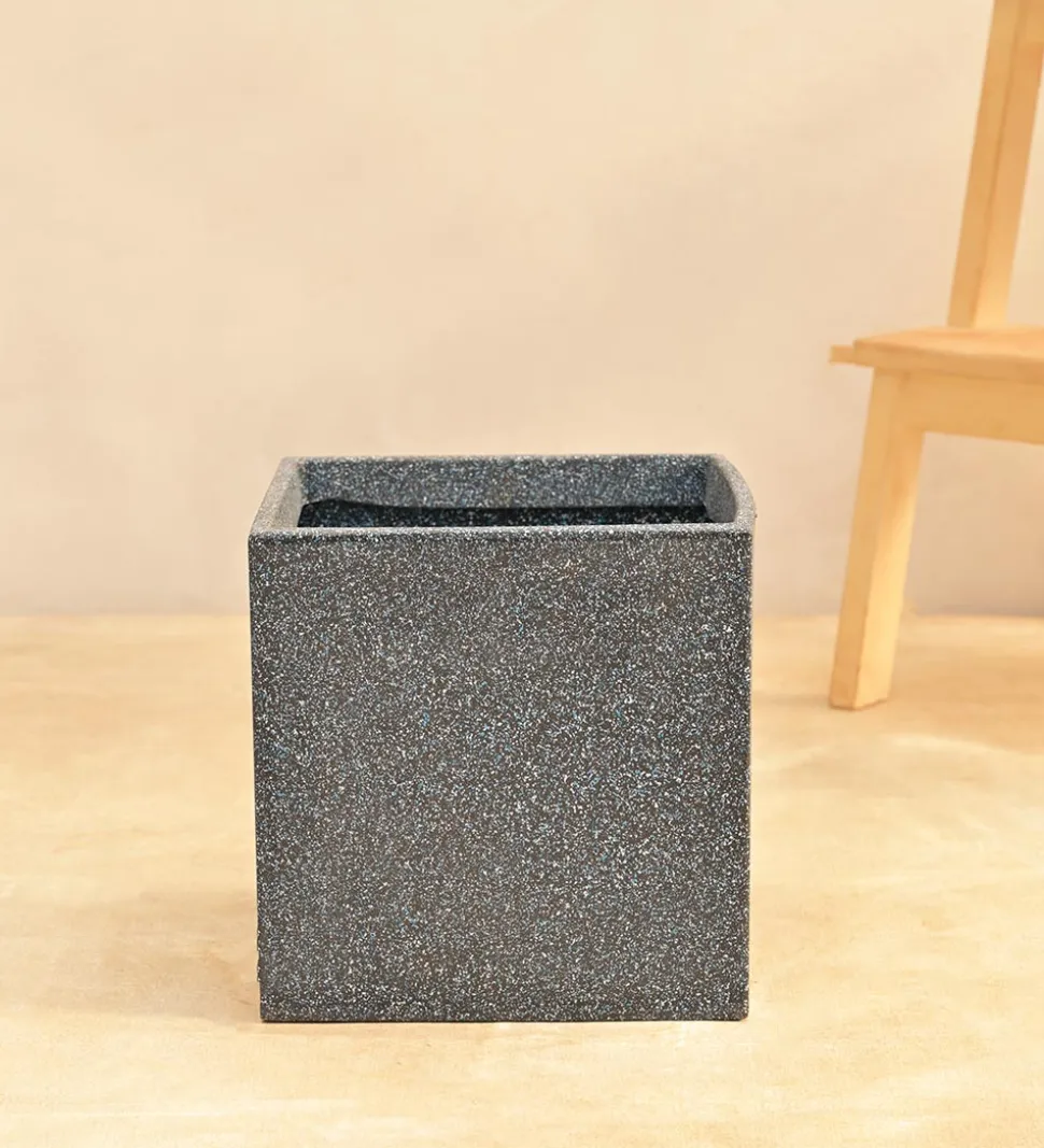 Qubec Planter