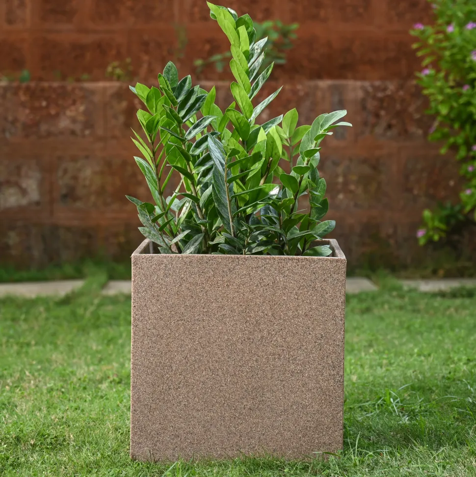 Qubec Planter