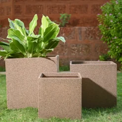 Qubec Planter