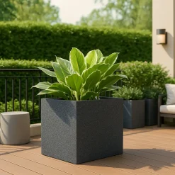 Qubec Planter