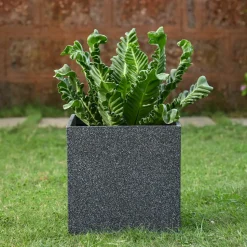 Qubec Planter