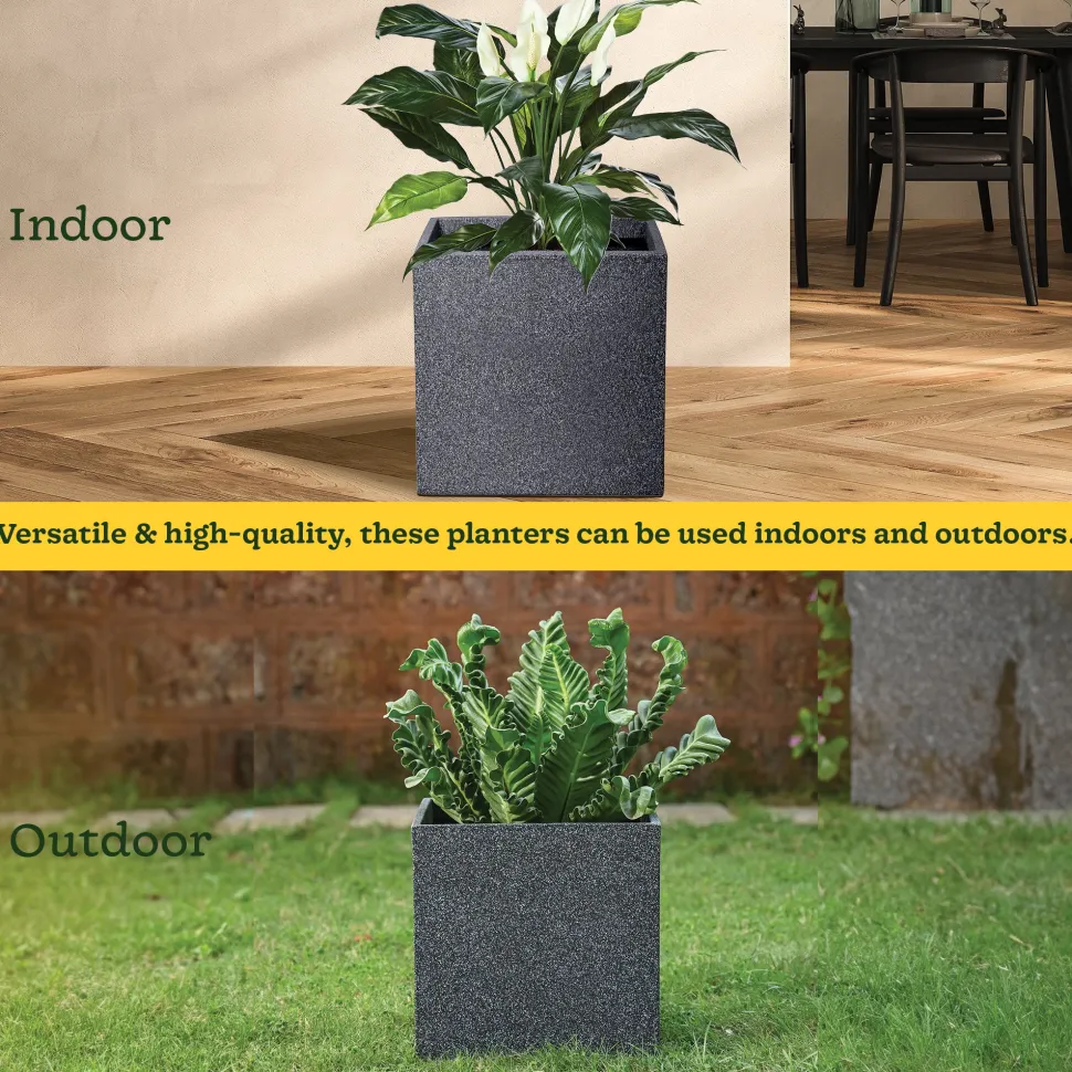 Qubec Planter