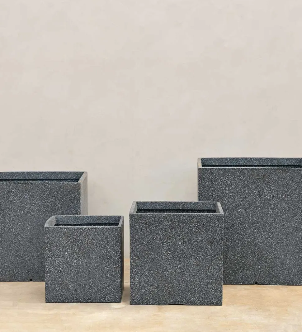 Qubec Planter
