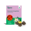 Ranunculus Orange Bulbs