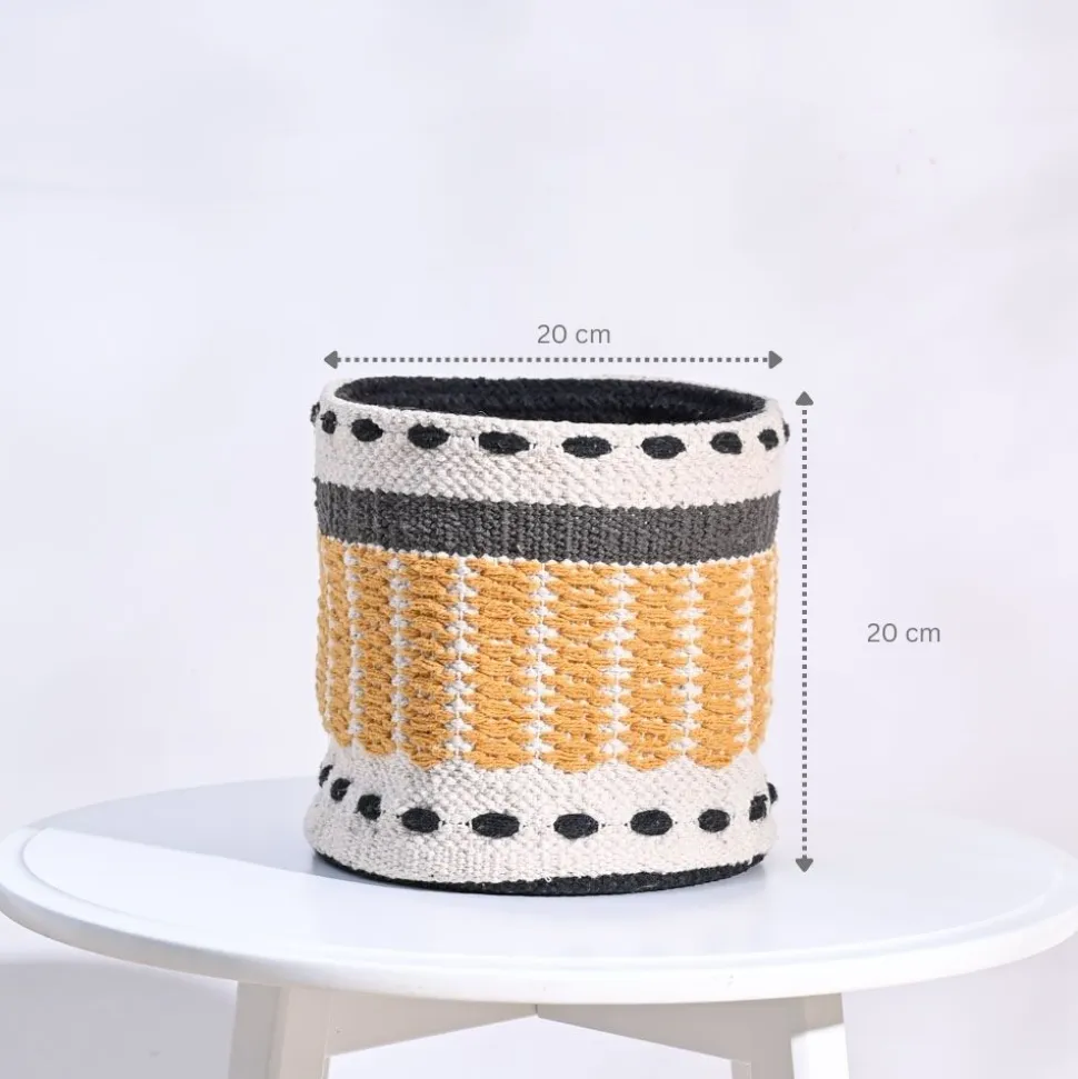 Rays Cotton Planter