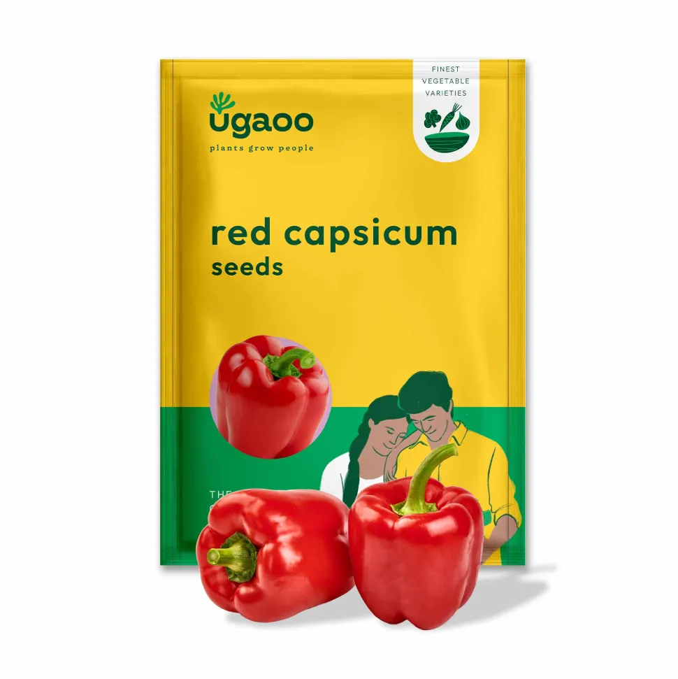 Red Capsicum Seeds