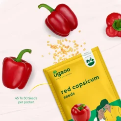 Red Capsicum Seeds