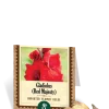Red Majesty Gladiolus Bulbs