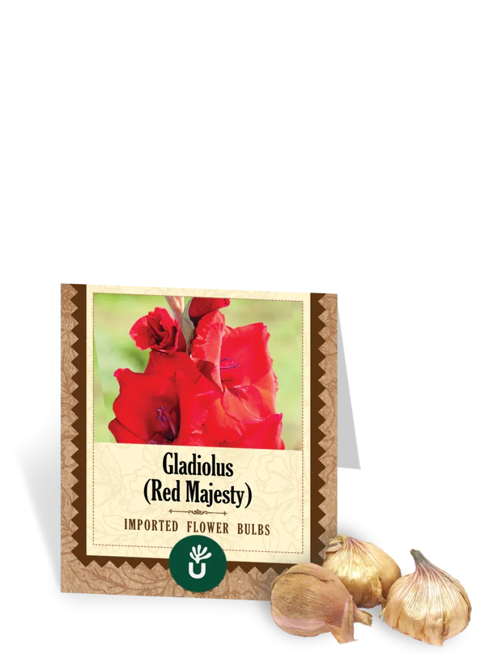 Red Majesty Gladiolus Bulbs