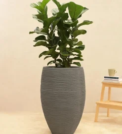 Rib High Planter