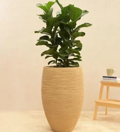 Rib High Planter