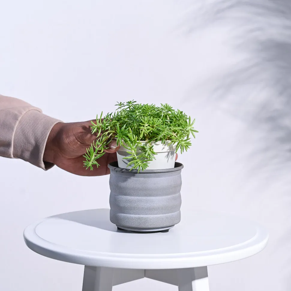 RidgeCraft Cylindrical Planter