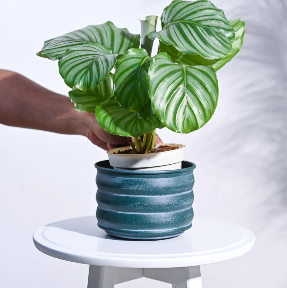 RidgeCraft Cylindrical Planter