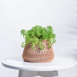Ridged Waves Wooden Pot