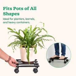 Rolling Plant Stand - Black