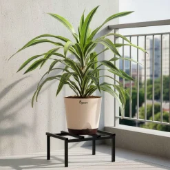 Rolling Plant Stand - Black