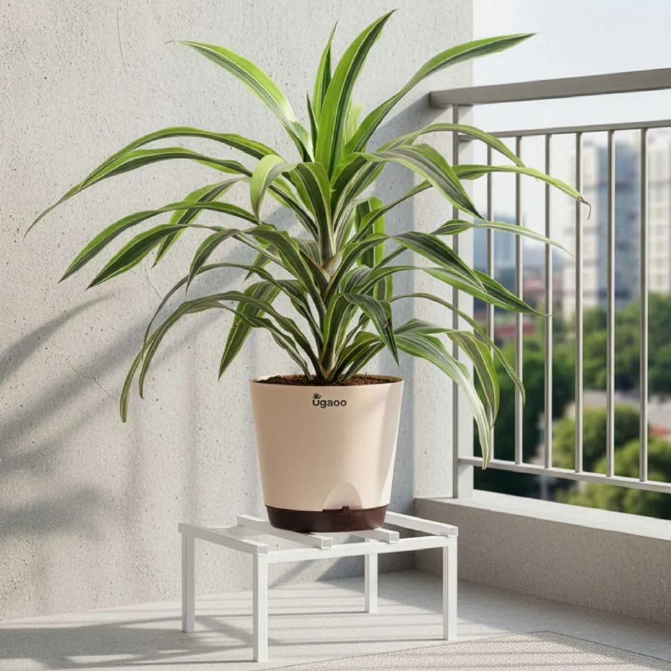 Rolling Plant Stand - White