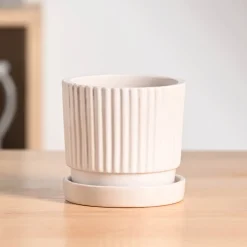 Roma Ceramic Pot