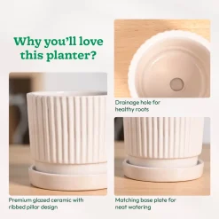 Roma Ceramic Pot