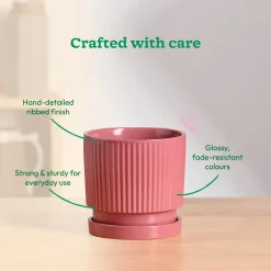 Roma Ceramic Pot