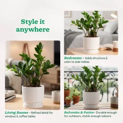 Roma Ceramic Pot