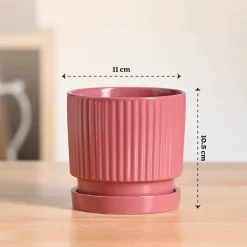 Roma Ceramic Pot