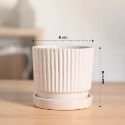 Roma Ceramic Pot