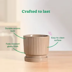 Roma Ceramic Pot