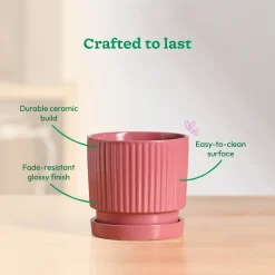 Roma Ceramic Pot