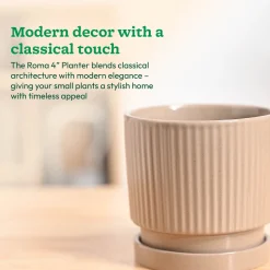 Roma Ceramic Pot