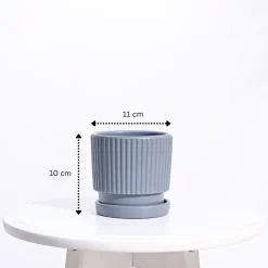 Roma Ceramic Pot
